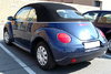 Beetle.jpg