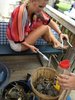 crabs.jpg
