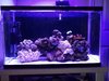 Aquarium.jpg Aquarium.jpg