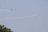 Both Groups over Trees_m.jpg