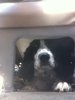 Polo under my seat 2a.JPG