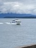 Freedom Boat.JPG