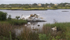 56A52D4E-B218-4698-B7CE-1454EDF7B79F.png 56A52D4E-B218-4698-B7CE-1454EDF7B79F.png