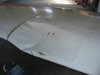 Birdstrike06a.jpg