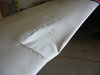 Birdstrike07a.jpg