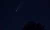 DSC09530.jpg