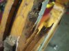 rotten wood.jpg