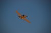 DSC_0413.JPG