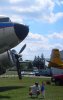 youngeagle.jpg
