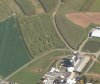 Corn maze.JPG