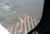 Striped Crops.jpg Striped Crops.jpg