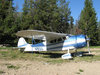 Cessna 195.jpg