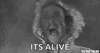 alive.gif alive.gif