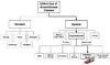 airworthiness categories.jpg airworthiness categories.jpg