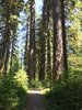 IMG_3827.jpeg