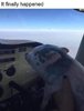 86831282_10159653970474196_2870016976774758400_n.jpg 86831282_10159653970474196_2870016976774758400_n.jpg
