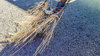 13 Easton_CleElum_Flight-2.jpg 13 Easton_CleElum_Flight-2.jpg
