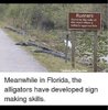 gators spell.jpg