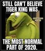 kermit.jpg