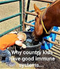 why-country-kids-have-good-immune-systems-drinking-with-horse-water.jpg
