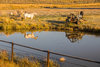 DSC01315.jpg