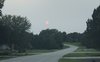 IMG_7786.jpg