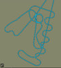 C08AB25C-E405-4658-832B-DE5B158D4123.jpeg C08AB25C-E405-4658-832B-DE5B158D4123.jpeg