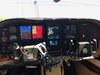 IMG_1060.jpeg IMG_1060.jpeg