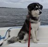 IMG_20201008_164148.jpg