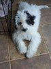 20201030_184717.jpg