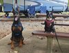 SmartSelect_20201031-223039_Instagram.jpg