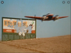 beech18.png