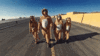 ezgif.com-optimize.gif ezgif.com-optimize.gif