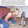 Wallaby.png