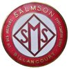 Salmson-car-badge - Copy-on-white-rebalanced-trimmed.jpg