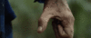 29152FA8-4900-44C3-AA11-327D5459430E.gif