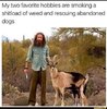 rescue meme dog.jpg