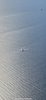 11B1F5AA-3758-4F49-9039-04CEA4597BF1.jpeg