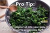 kale.jpg kale.jpg