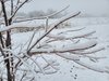 20210110_111633.jpg