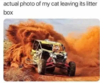 actual-photo-my-cat-leaving-litter-box-dirt-racer.png actual-photo-my-cat-leaving-litter-box-dirt-racer.png