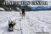 Canadian Flat Tire.jpg