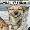 Smiling-Dog-Its-Friday.jpg