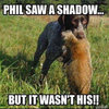 Phil-Saw-Shadow.jpg
