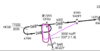 upload_2021-2-24_13-38-47.png