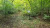 20201010_112540.jpg 20201010_112540.jpg