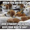 In_Deep.jpeg