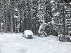 Winter in the Rockies1.jpg
