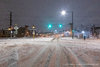 20210314-Denver snow-P1020329.jpg 20210314-Denver snow-P1020329.jpg