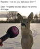 1deer-interview.png
